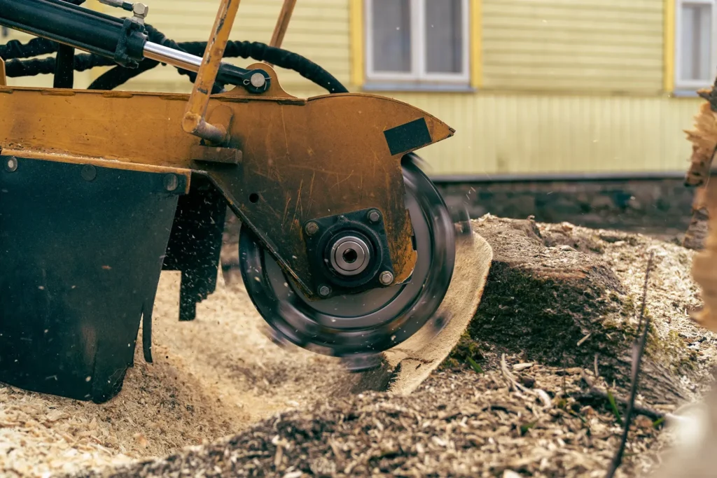 Stump Grinding Improves