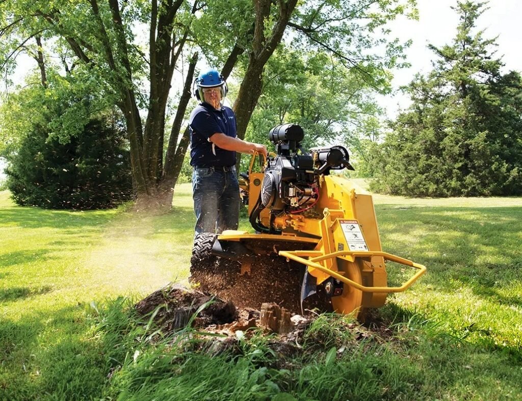 Stump Grinding Improves