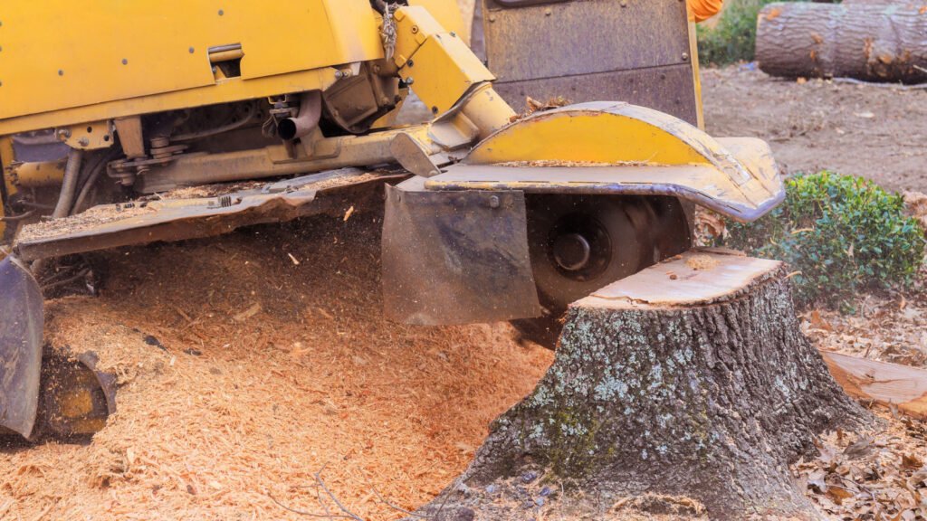 Stump Grinding Improves